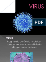 Virus (1)