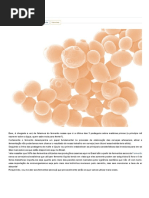 Cerveja Henrik Boden _ Fermento • Cerveja Henrik Boden