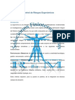 Evaluación y Control de Riesgos Ergonómicos by Soluciones Fisioterapéuticas R&M