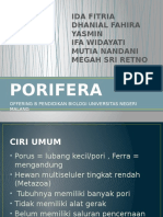 Porifera: Ciri Umum dan Sistem Tubuh