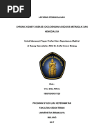 Download LP Ckd Dengan Asidosis Metabolik by Vhiena Shitta SN338405999 doc pdf