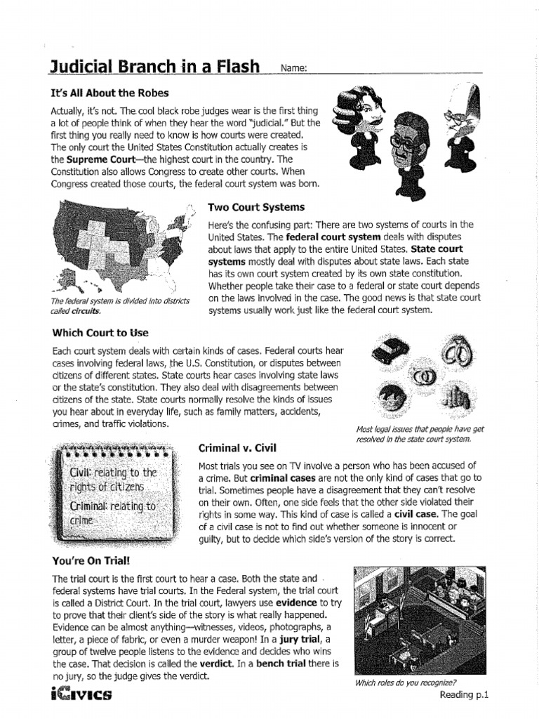 Judicial Branch in A Flash PDF