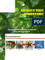 1_Cadeias_e_teias_alimentares.pdf