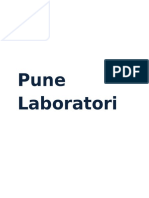 Pune Laboratori