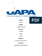 Tarea I - Orientación (UAPA)