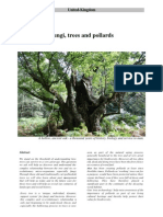 Fungi, trees and pollards