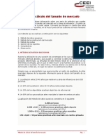 Calcular el Tamaño del Mercado.pdf