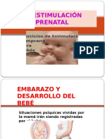 Estimulacion Prenatal