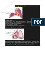 singkat yang dioptimalkan  untuk dokumen berikut ini. Judul berisi kata kunci anatomi dan nama organ trachea, serta disingkat menjadi kurang dari  sesuai permintaan