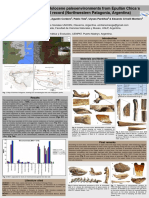 Epullán Chica Zooarch Record. Taphonomy and Paleoenviroment