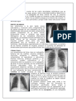Anatomia Radiologica y Tomográfica