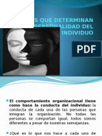 Factores Que Determinan La Personalidad(Present)