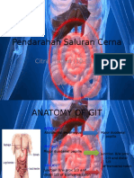 Pendarahan Saluran Cerna - Prof Boas