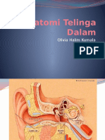 Anatomi Telinga Dalam