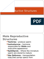 Reproductive System