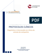 Protocolos Clínicos - Diagnóstico e Intervenção em Clínica de Animais de Companhia