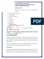 PROCESO DE OBTENCIÓN DEL CUERO 2 - copia.pdf