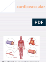 Sistema Cardiovascular