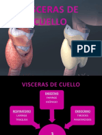 Visceras de Cuello