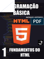 Programação Básica - Fundamentos Do HTML