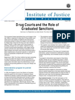 National Institute of Justice: Drug Courts and The Role of Graduated Sanctions