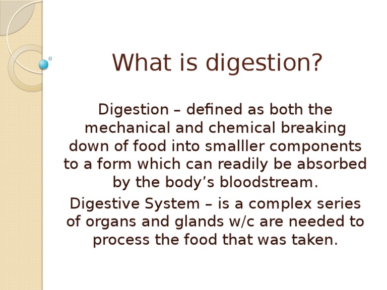 Understanding Digestion and the Digestive System | PDF
