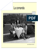 comanda.pdf