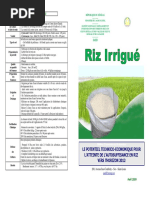 Fiche riz irrigue.pdf