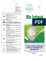 Fiche Riz Irrigue PDF