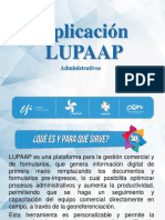 LUPAAP Administrativos