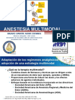 Analgesia Multimodal