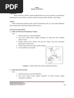 Makalah Reproduksi Domba