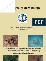 8.Picaduras y Mordeduras