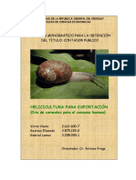 Helicicultura para exportación: guía para emprender en el mercado de caracoles