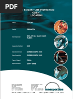 IRIS - Boiler Tubes Inspection Report PDF