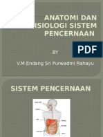 Anfis Sistem Pencernaan