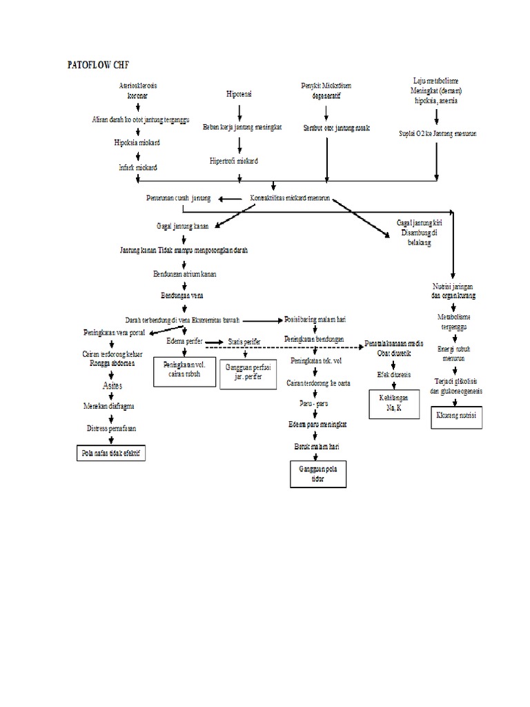 Patoflow CHF | PDF