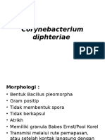 Corynebacterium diphteriae