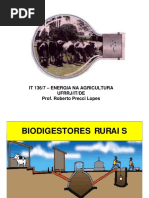 Biodigestores Indu y Chino.pdf