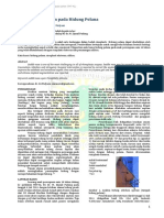 Augmentasi Silikon Pada Hidung Pelana PDF