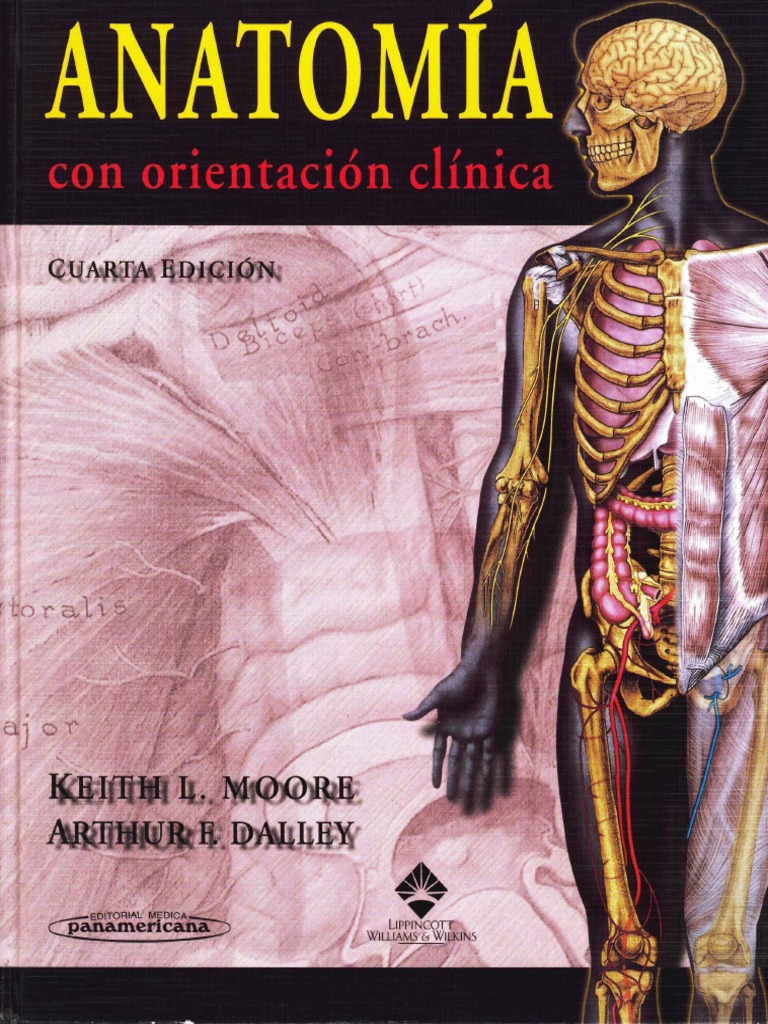 Anatomía Con Orientación Clínica - Moore