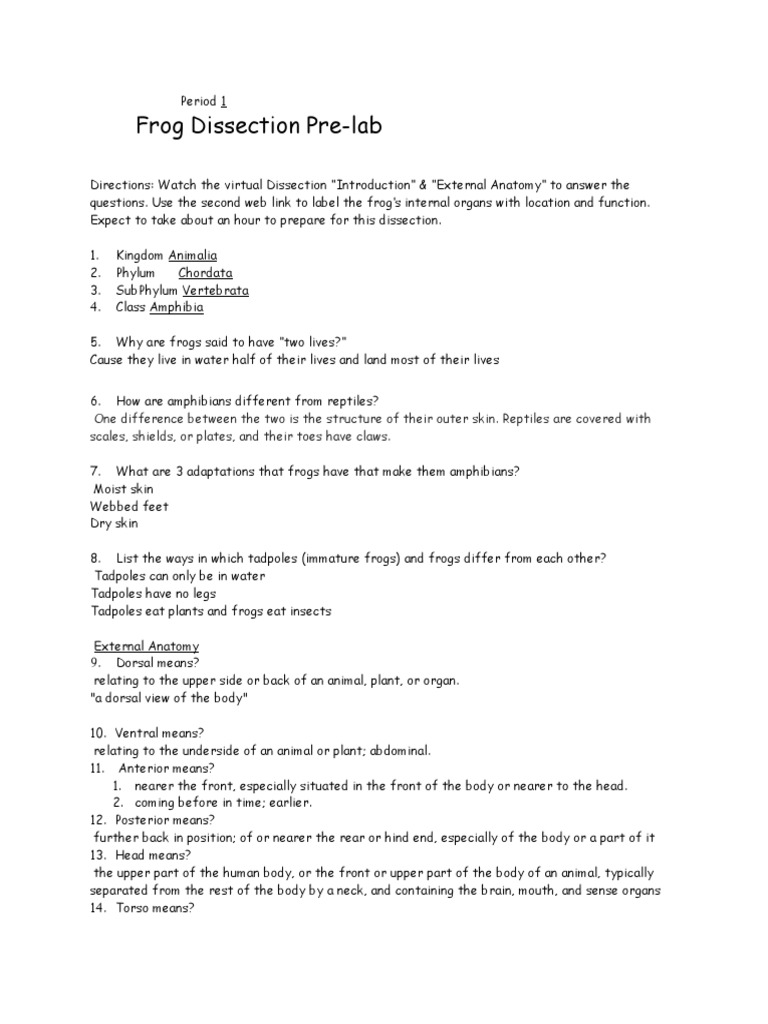 Worksheets Frog Dissection Worksheet Answer Key frogdissectionpre labjourney frog amphibian