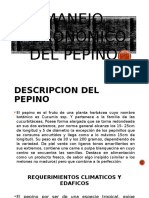 Manejo Agronómico Del Pepino (PRESENTACION)
