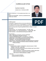 CV Karl Guzmán 2017