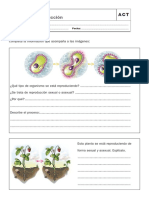 Esquemas para Rellenar PDF