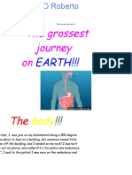 Thegrossestjourney