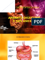 Aparato Digestivo y Sus Anexos