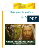 Guía de Visita a Flias (Misión Juvenil CM 2017)
