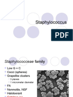 Staphylococcus