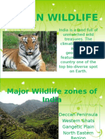 Indianwildlife 121008021412 Phpapp02